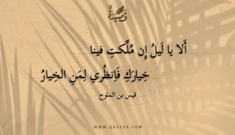 قصيدة ألا يا ليل إن ملكت فينا