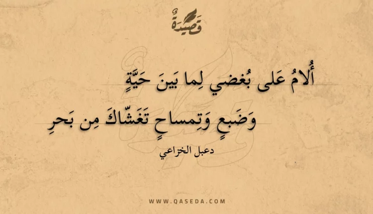 قصيدة ألام على بغضي لما بين حية