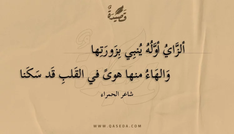 قصيدة ألزاي أوله ينبي بزورتها