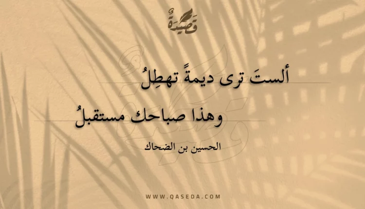 قصيدة ألست ترى ديمة تهطل