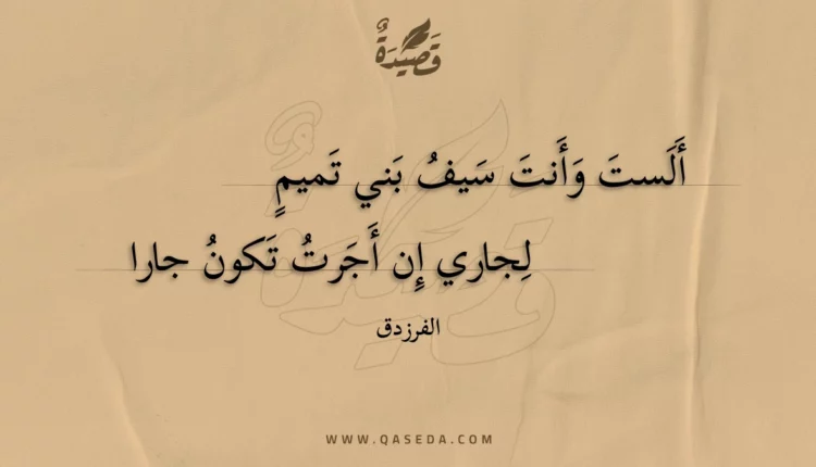 قصيدة ألست وأنت سيف بني تميم