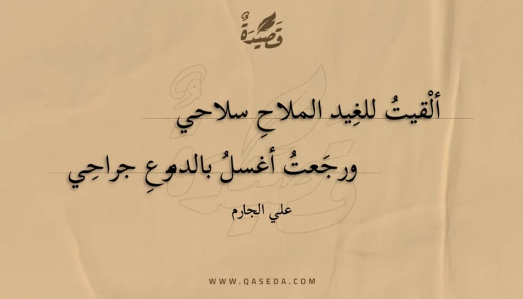 قصيدة ألقيت للغيد الملاح سلاحي