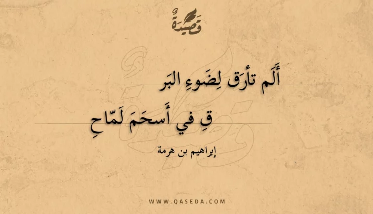 قصيدة ألم تأرق لضوء البرق