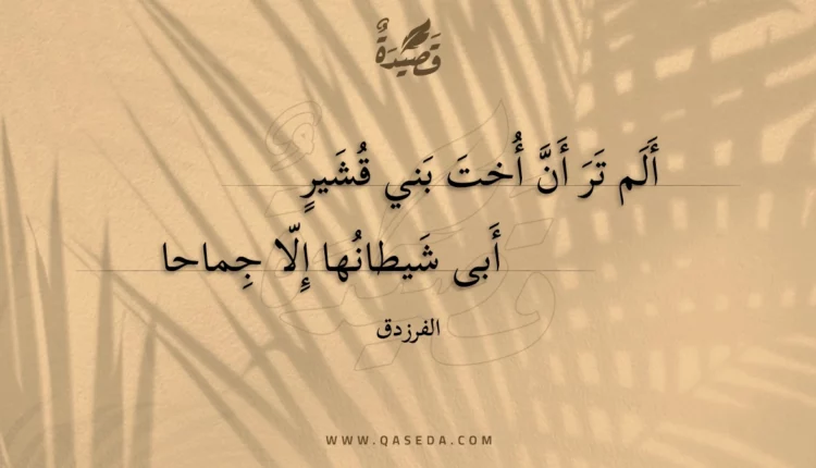 قصيدة ألم تر أن أخت بني قشير