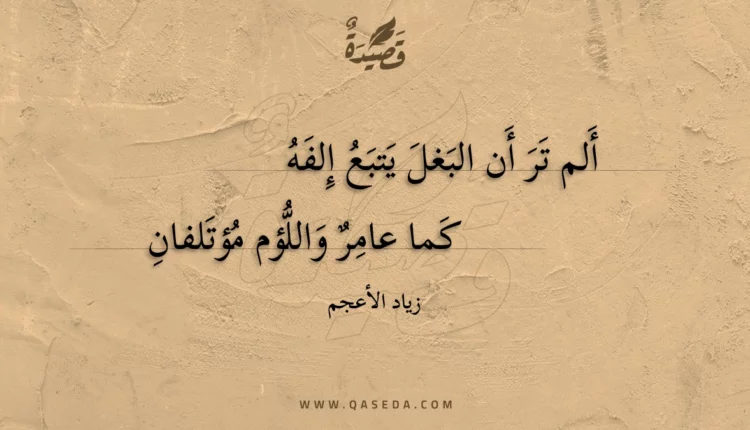 قصيدة ألم تر أن البغل يتبع إلفه
