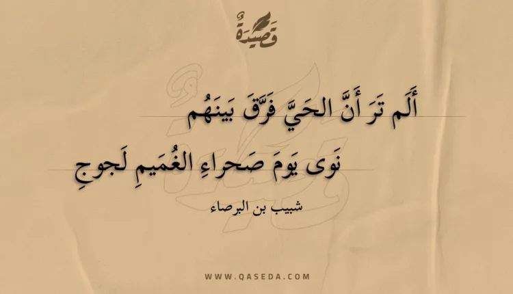 قصيدة ألم تر أن الحي فرق بينهم