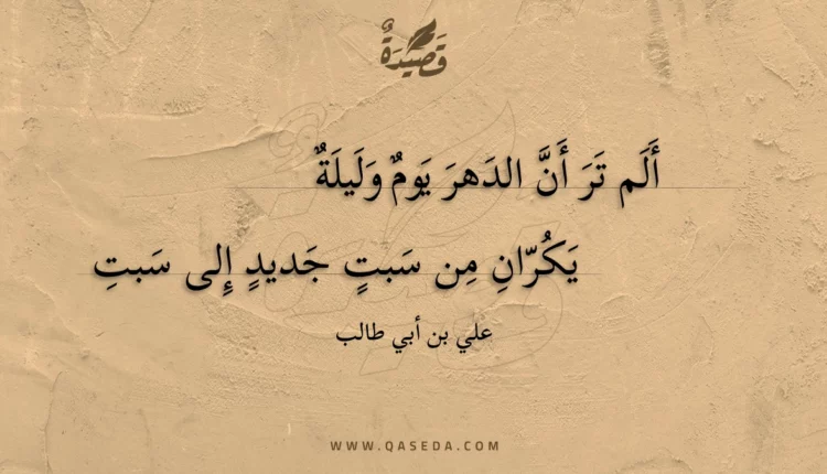 قصيدة ألم تر أن الدهر يوم وليلة