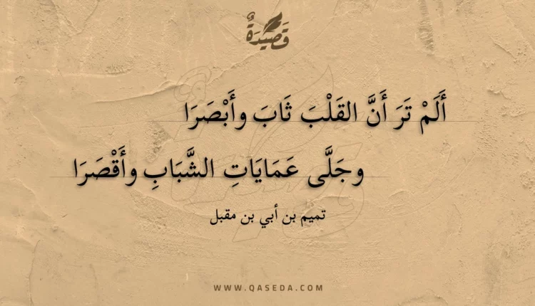 قصيدة ألم تر أن القلب ثاب وأبصرا