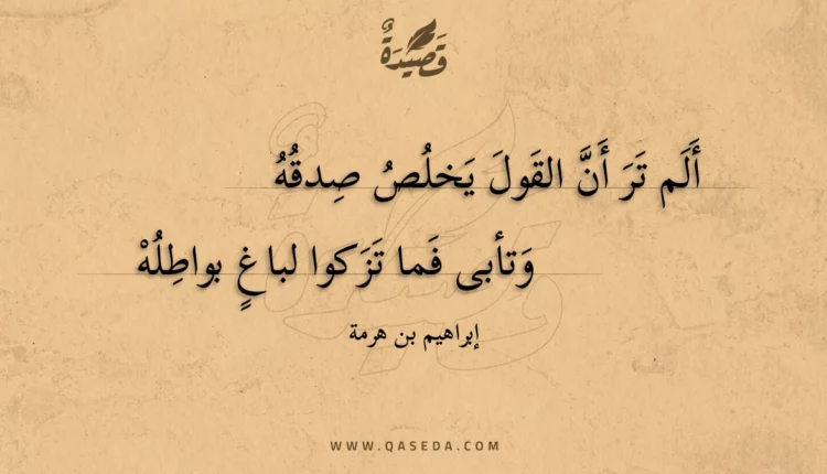 قصيدة ألم تر أن القول يخلص صدقه