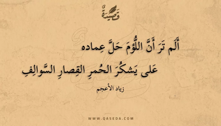 قصيدة ألم تر أن اللؤم حل عماده