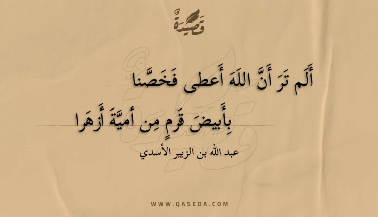 قصيدة ألم تر أن الله أعطى فخصنا