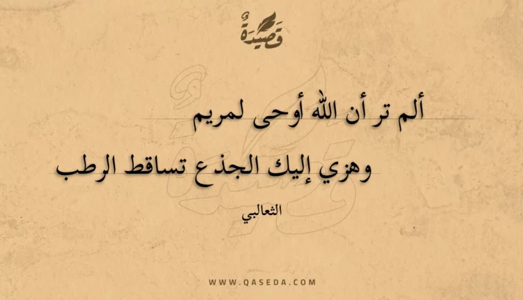 قصيدة ألم تر أن الله أوحى لمريم