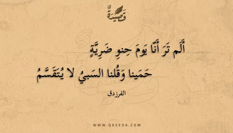 قصيدة ألم تر أنا يوم حنو ضرية