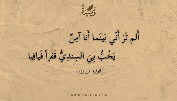 قصيدة ألم تر أني بينما أنا آمن