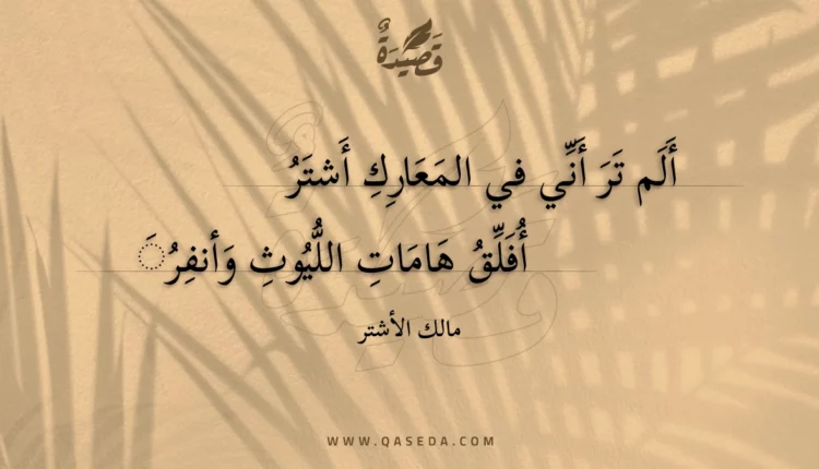 قصيدة ألم تر أني في المعارك أشتر