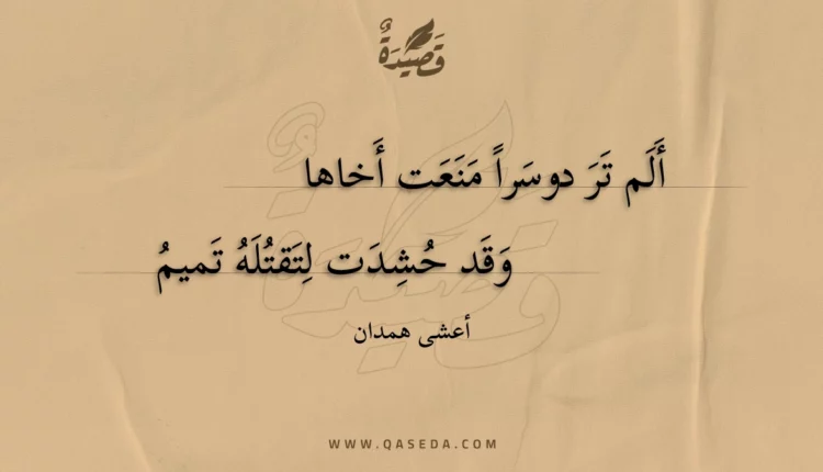 قصيدة ألم تر دوسرا منعت أخاها