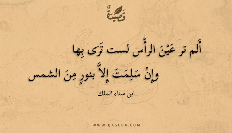 قصيدة ألم تر عين الرأس لست ترى بها