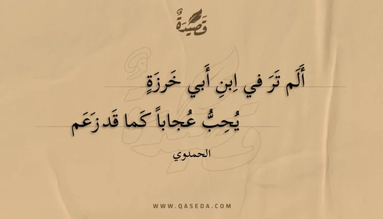 قصيدة ألم تر في ابن أبي خرزة