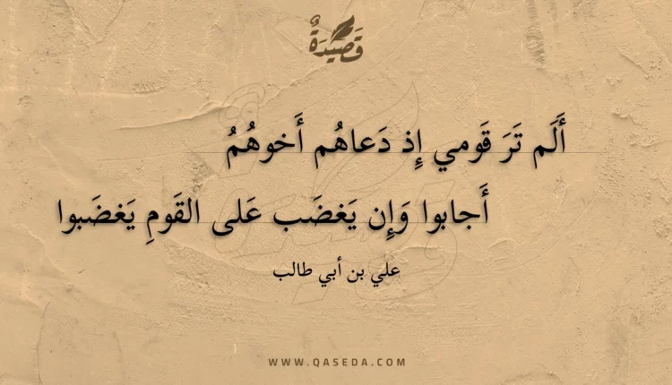 قصيدة ألم تر قومي إذ دعاهم أخوهم
