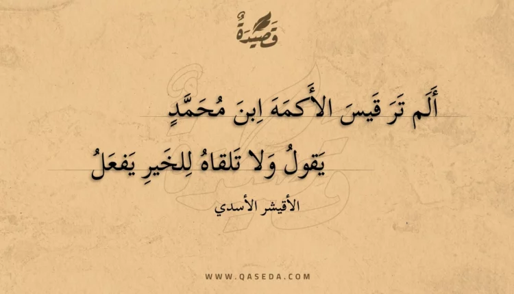 قصيدة ألم تر قيس الأكمه ابن محمد