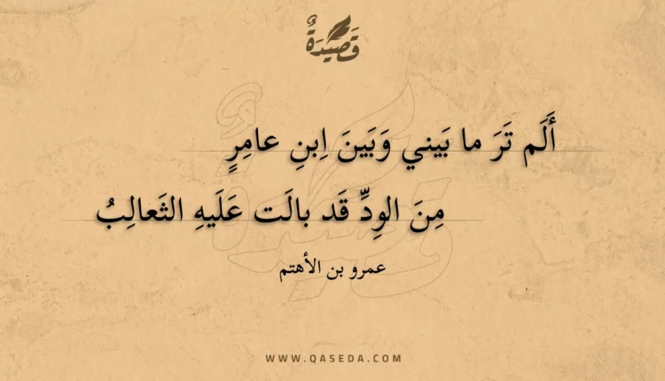 قصيدة ألم تر ما بيني وبين ابن عامر
