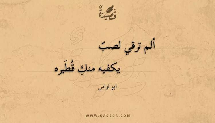 قصيدة ألم ترقي لصب