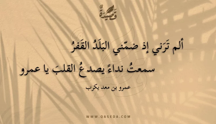 قصيدة ألم ترني إذ ضمني البلد القفر