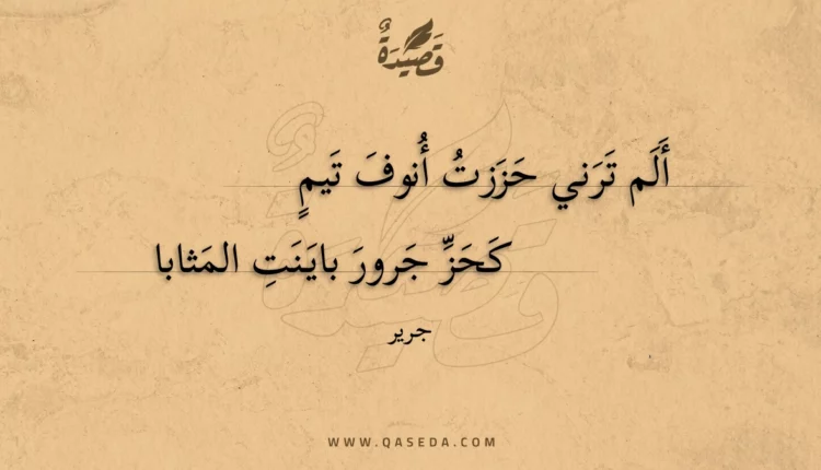 قصيدة ألم ترني حززت أنوف تيم
