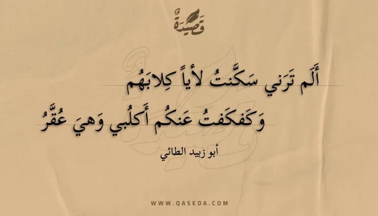 قصيدة ألم ترني سكنت لأيا كلابهم