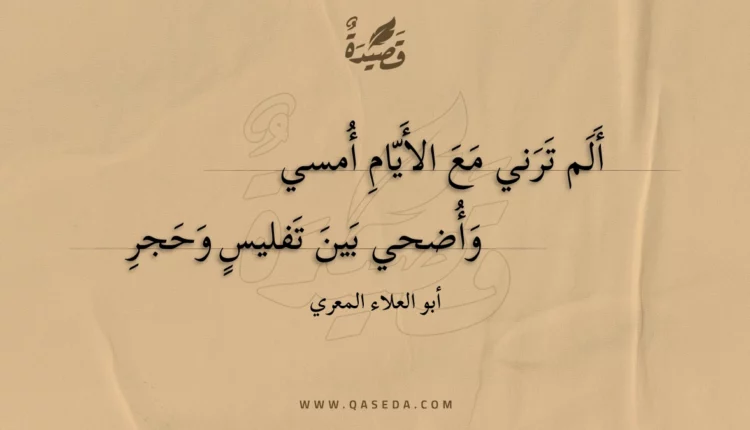 قصيدة ألم ترني مع الأيام أمسي