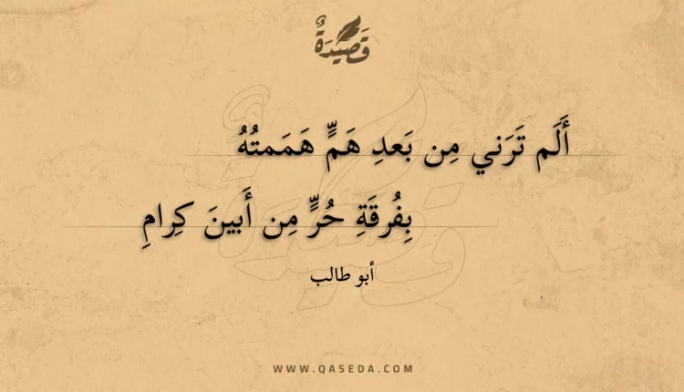 قصيدة ألم ترني من بعد هم هممته