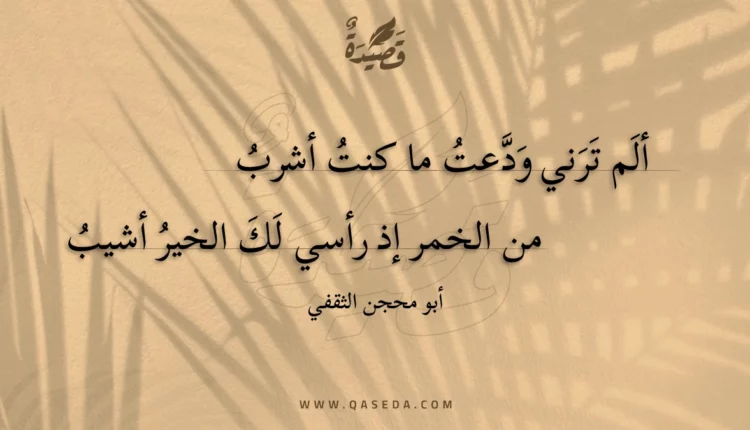 قصيدة ألم ترني ودعت ما كنت أشرب