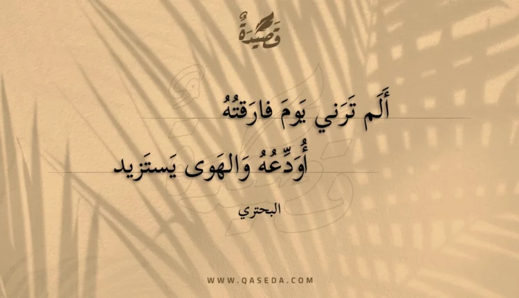 قصيدة ألم ترني يوم فارقته