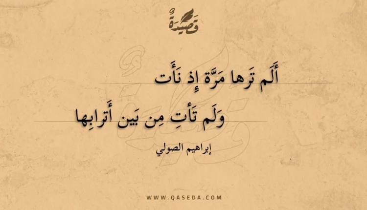 قصيدة ألم ترها مرة إذ نأت