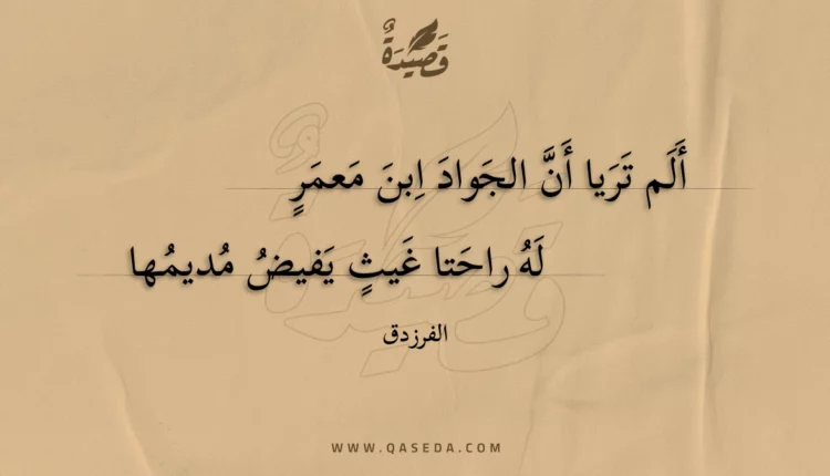 قصيدة ألم تريا أن الجواد ابن معمر