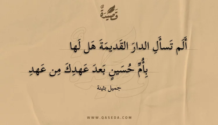قصيدة ألم تسأ الدار القديمة هل لها