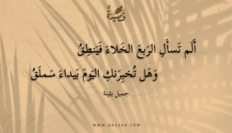 قصيدة ألم تسأل الربع الخلاء فينطق
