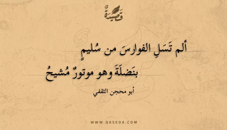 قصيدة ألم تسل الفوارس من سليم