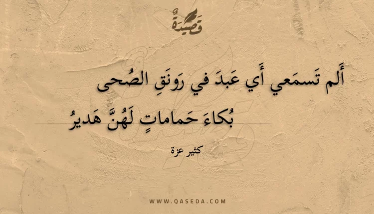 قصيدة ألم تسمعي أي عبد في رونق الصحى