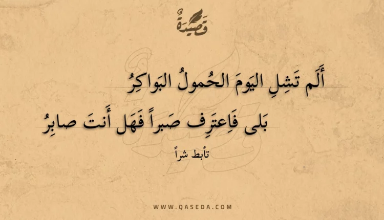 قصيدة ألم تشل اليوم الحمول البواكر