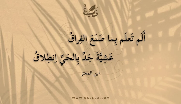 قصيدة ألم تعلم بما صنع الفراق