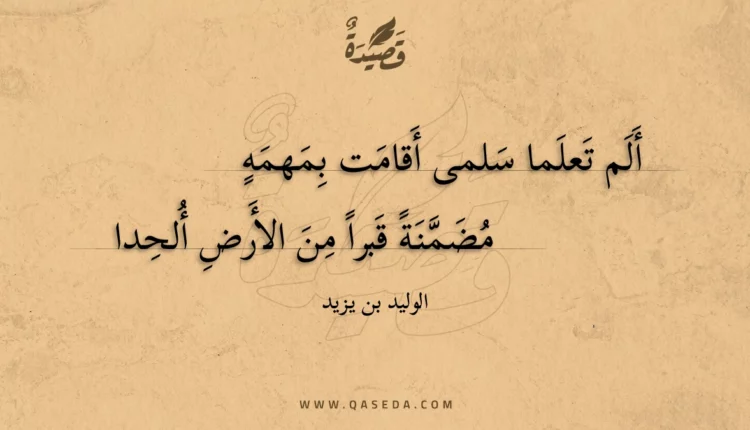 قصيدة ألم تعلما سلمى أقامت بمهمه
