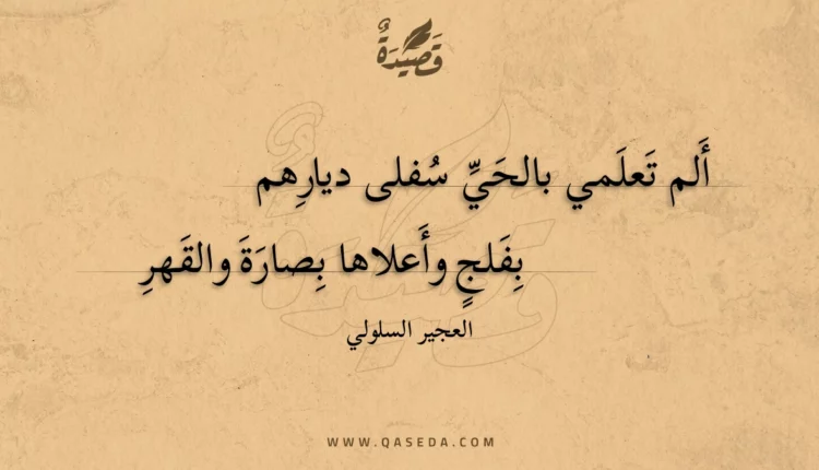 قصيدة ألم تعلمي بالحي سفلى ديارهم