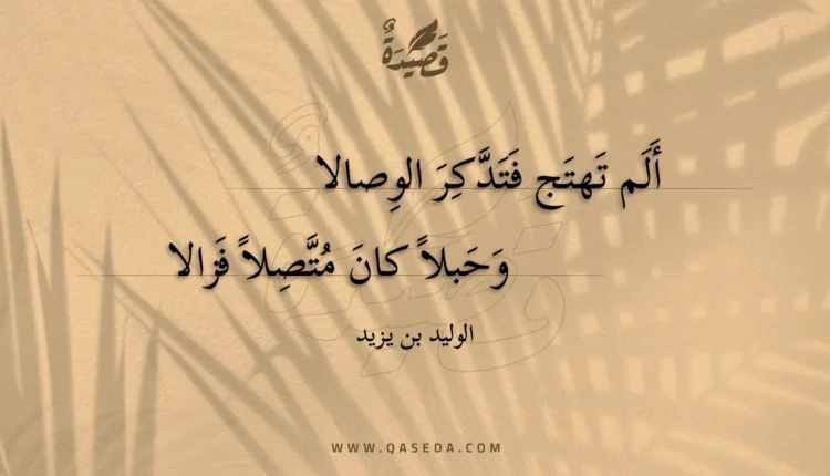 قصيدة ألم تهتج فتدكر الوصالا