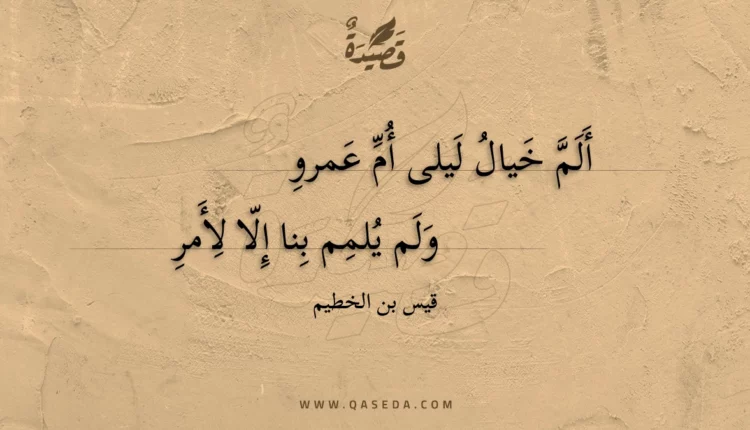 قصيدة ألم خيال ليلى أم عمرو