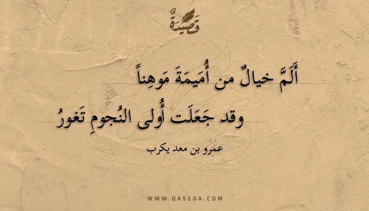 قصيدة ألم خيال من أميمة موهنا