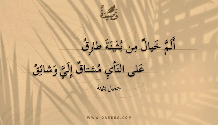 قصيدة ألم خيال من بثينة طارق