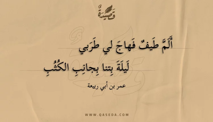 قصيدة ألم طيف فهاج لي طربي