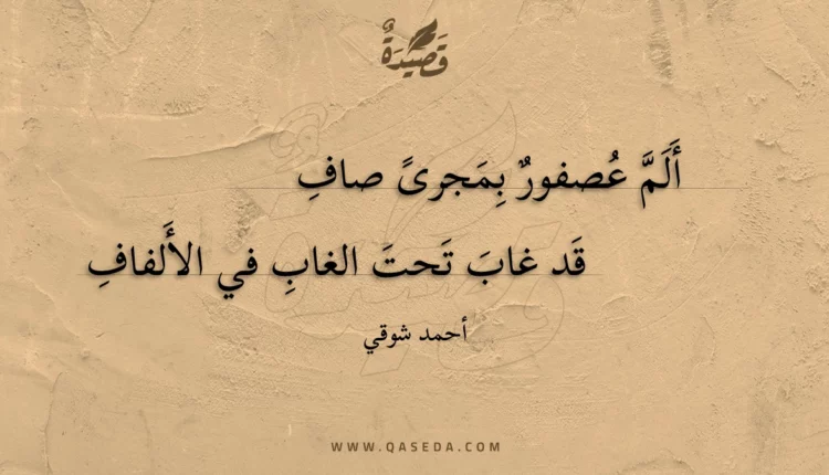 قصيدة ألم عصفور بمجرى صاف