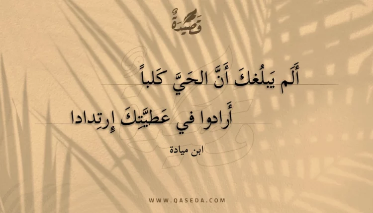 قصيدة ألم يبلغك أن الحي كلبا